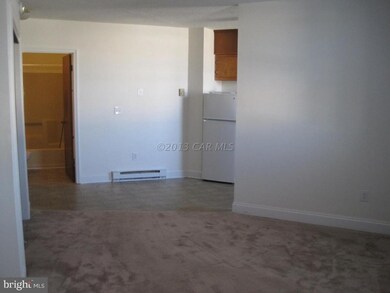 409 E Church St unit J, Salisbury, MD 21804 - photo 2