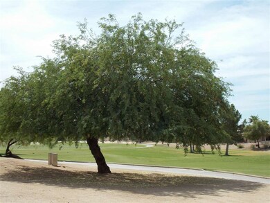 Trees Line Some Of Fairway