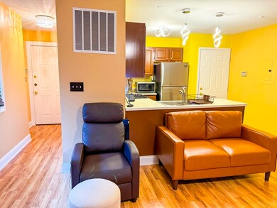 66 Saint James St unit 103, Roxbury, MA 02119 - photo 2