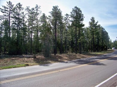 951 S Central Ave, Show Low, AZ 85901 - photo 4