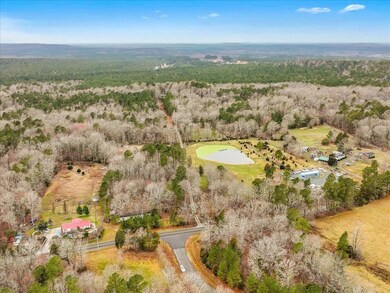 4831 Old Graham Rd, Pittsboro, NC 27312 - photo 6