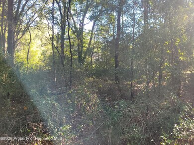 0 SW 22nd Place unit 2256829, Ocala, FL 34481 - photo 2