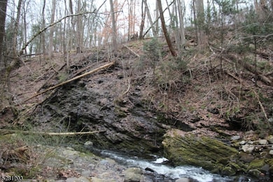 0 Mount Benevolence Rd, Stillwater Township, NJ 07860 - photo 7