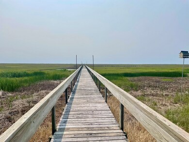 Lot 55 Lewis Ln unit 55, Parksley, VA 23421 - photo 6