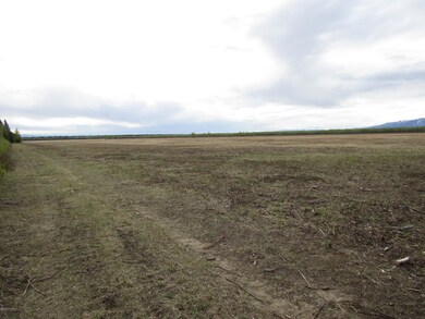 TR C-3 Tanana Loop Ext 007