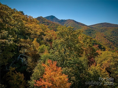 205 Chickadee Ln unit 205, Maggie Valley, NC 28751 - photo 5