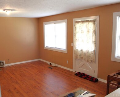 116 Wiggins Spring Rd, Vesuvius, VA 24483 - photo 4