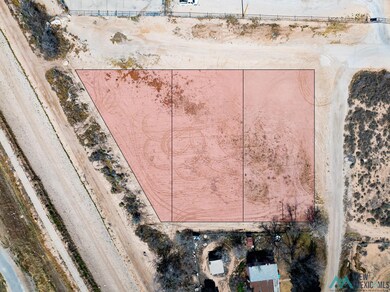 1501 W Luckey St, Carlsbad, NM 88220 - photo 7