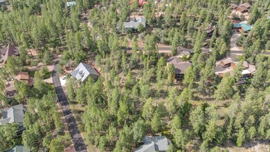 14 Wipila Wiki Dr, Payson, AZ 85541 - photo 6