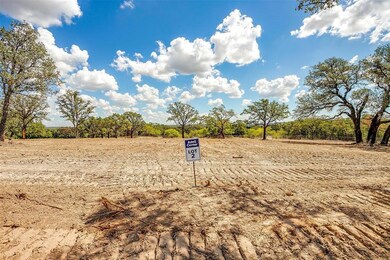 Lot 2 Garner Adell, Weatherford, TX 76088 - photo 3