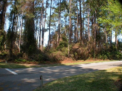 110 Augusta, St. Simons Island, GA 31522 - photo 6