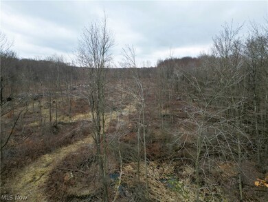 6990 Woodard Rd, Andover, OH 44003 - photo 3