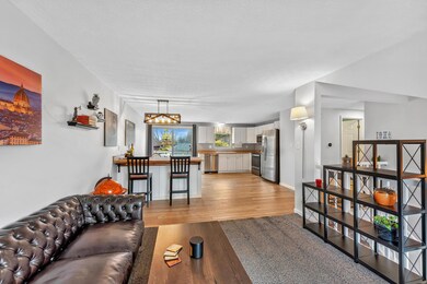 Main Living Space and Kitchen