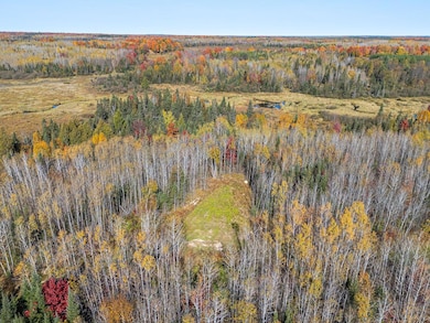 ON Cth G, Nekoosa, WI 54457 - photo 6