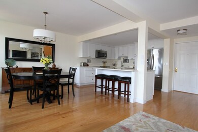 47 Harvard St unit B403, Charlestown, MA 02129 - photo 7