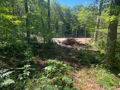 14940 Kelly St, Spring Lake, MI 49456 - photo 3