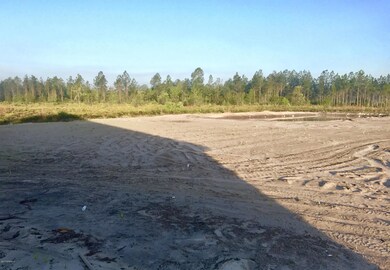54165 Trotter Ln unit LOT  67, Callahan, FL 32011 - photo 5