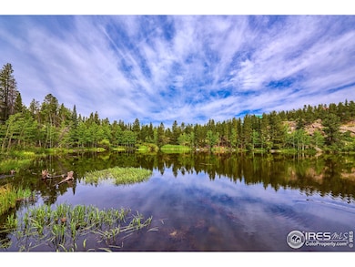 0 Pine Cone Cir unit RECIR1037889, Ward, CO 80481 - photo 6