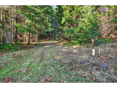 0 Knightsbridge Rd unit 787378359, Ariel, WA 98601 - photo 4