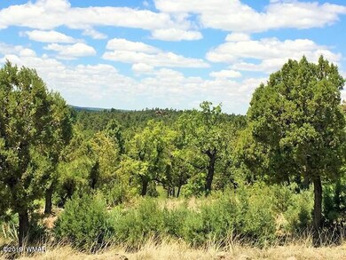 Bogan Sage 6