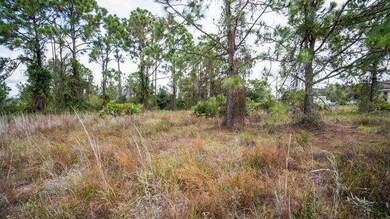 1253 Songbird St, Fort Myers, FL 33913 - photo 3