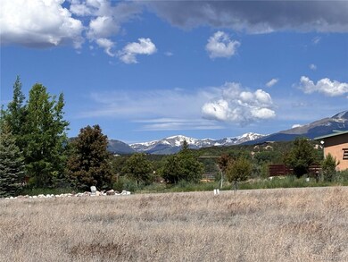 8954 Cameron Meadow Cir unit 33, Salida, CO 81201 - photo 4