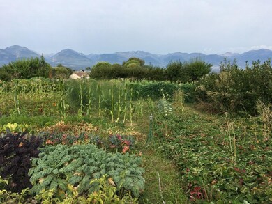 Garden and Orchard