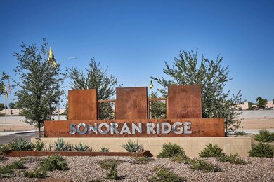 Sonoran Ridge-Community Sign