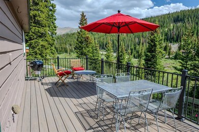46 McDill Rd, Breckenridge, CO 80424 - photo 5