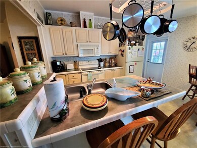 49 Pine Aire Cir, Lake Placid, FL 33852 - photo 3