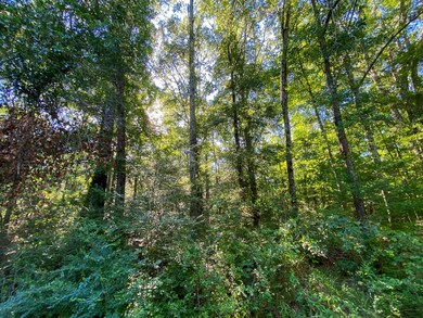 ParceL A S, Taylorsville, MS 39168 - photo 2