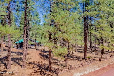 7621 E Jolly Rogue Ln, Williams, AZ 86046 - photo 4