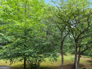 0 Duncan Bridge Rd unit 10645363, Cleveland, GA 30528 - photo 4