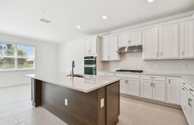Abundance Storage and Counter Space