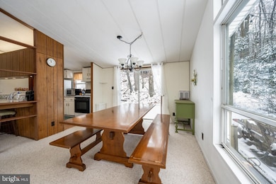 16 Lemley Dr, Oakland, MD 21550 - photo 5