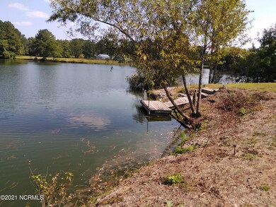 5724 Temperance Hall Rd, Elm City, NC 27822 - photo 7