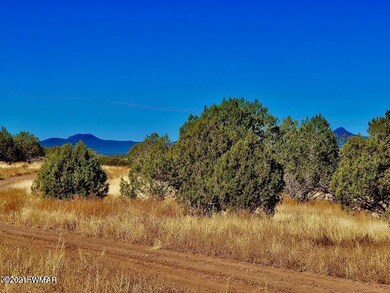 2653 Denny Dr, Ash Fork, AZ 86320 - photo 7