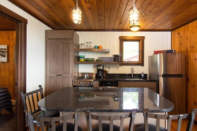 3-540 Old North Shore Rd unit Cabin 3 Share 4, Two Harbors, MN 55616 - photo 3