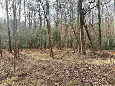 201 Leroy Dr, Liberty, SC 29657 - photo 4