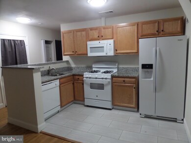 3902 Lawrence Ave, Kensington, MD 20895 - photo 5