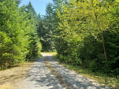 17226 Bald Hill Rd SE, Yelm, WA 98597 - photo 2