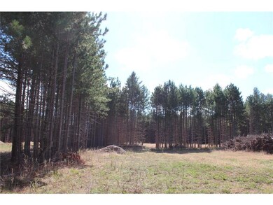 XXX Hay Creek Boulevard Blvd, Grantsburg, WI 54840 - photo 6