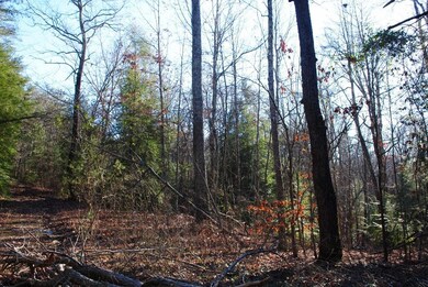 DSC_0273 (1024x685)