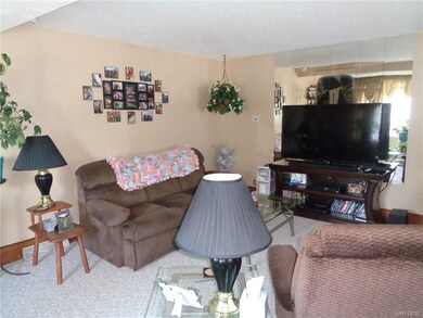 Lower Living room