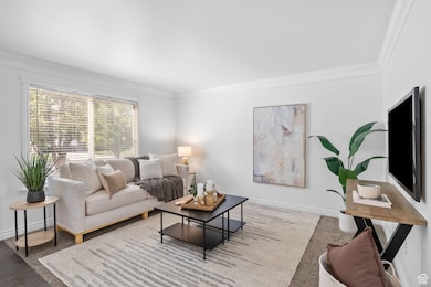Enter into this Living room, large windows and bright open space!