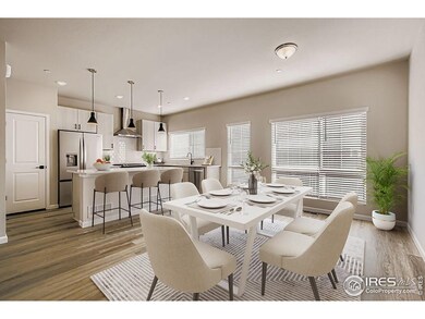 919 Schlagel St unit 7, Fort Collins, CO 80524 - photo 6