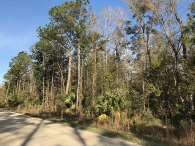 XXX River Plantation Rd, Crawfordville, FL 32327 - photo 5