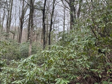 TBD Crooked Creek Ln, Fancy Gap, VA 24328 - photo 4