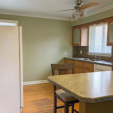 439 N Elm St, Hillside, IL 60162 - photo 2