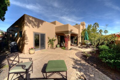South-facing Backyard